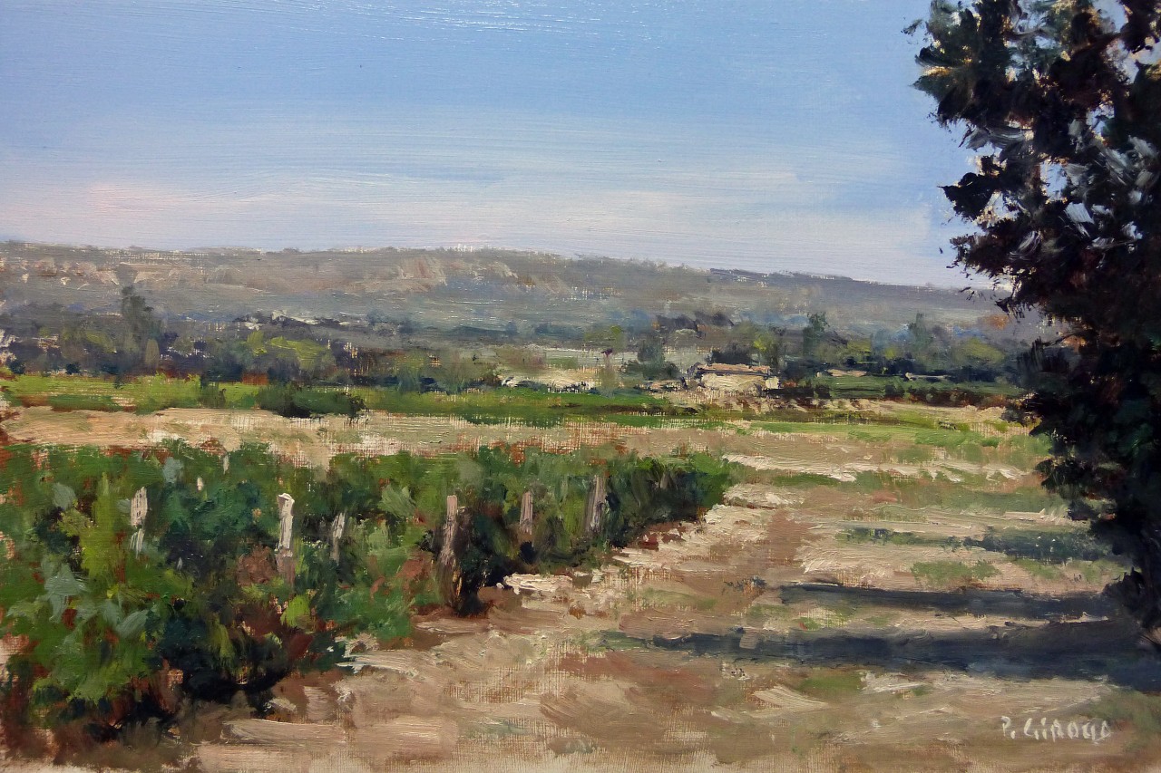 Peinture : Vignes en Provence