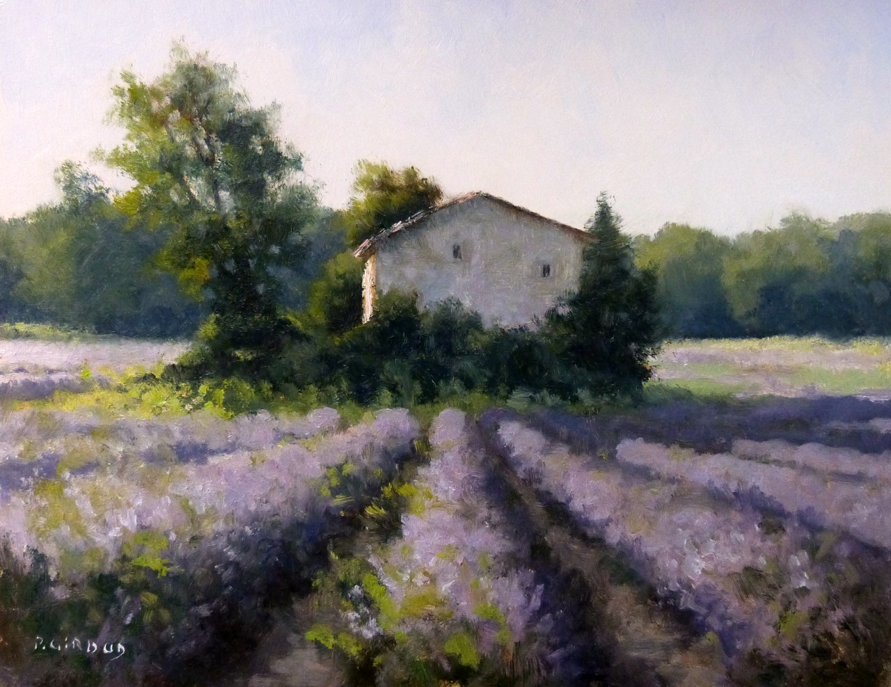 Peinture : Lavandes (Drôme)