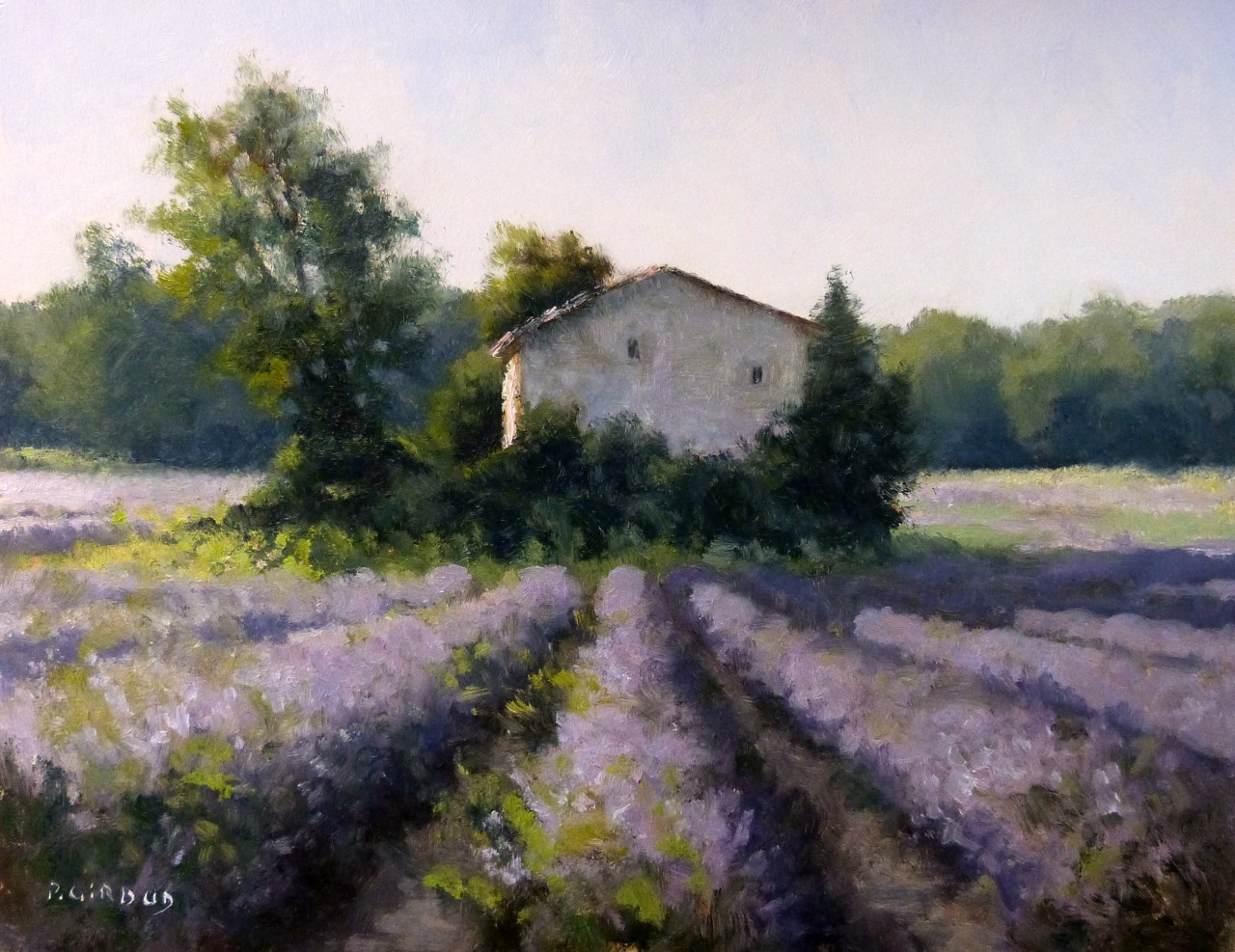 Peinture : Lavandes (Drôme) 