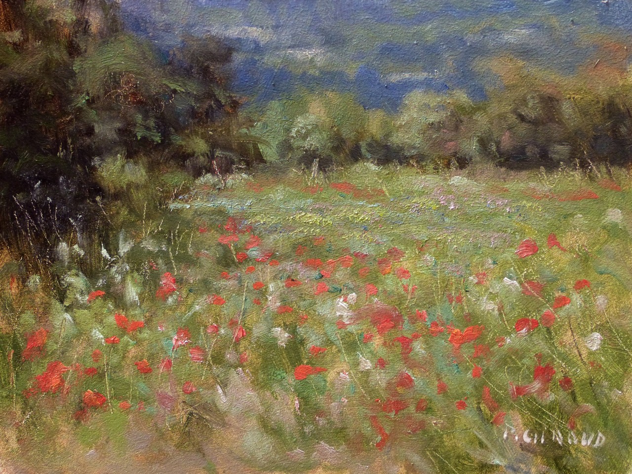 Peinture : Coquelicots