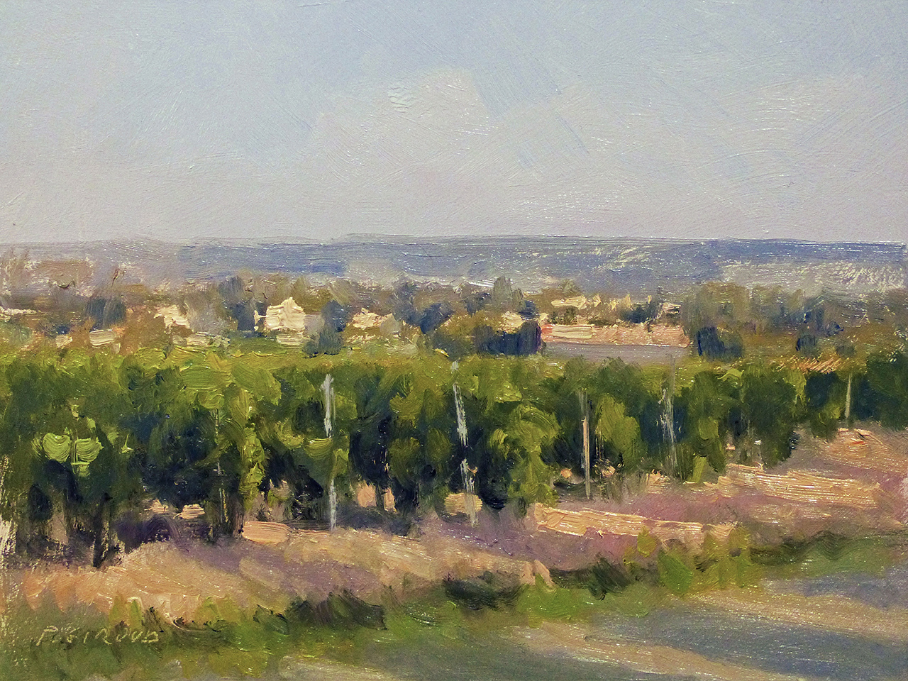 Peinture : Vignes dans le Luberon