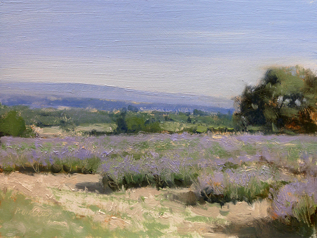 Peinture : Lavandes en Drôme Provençale 