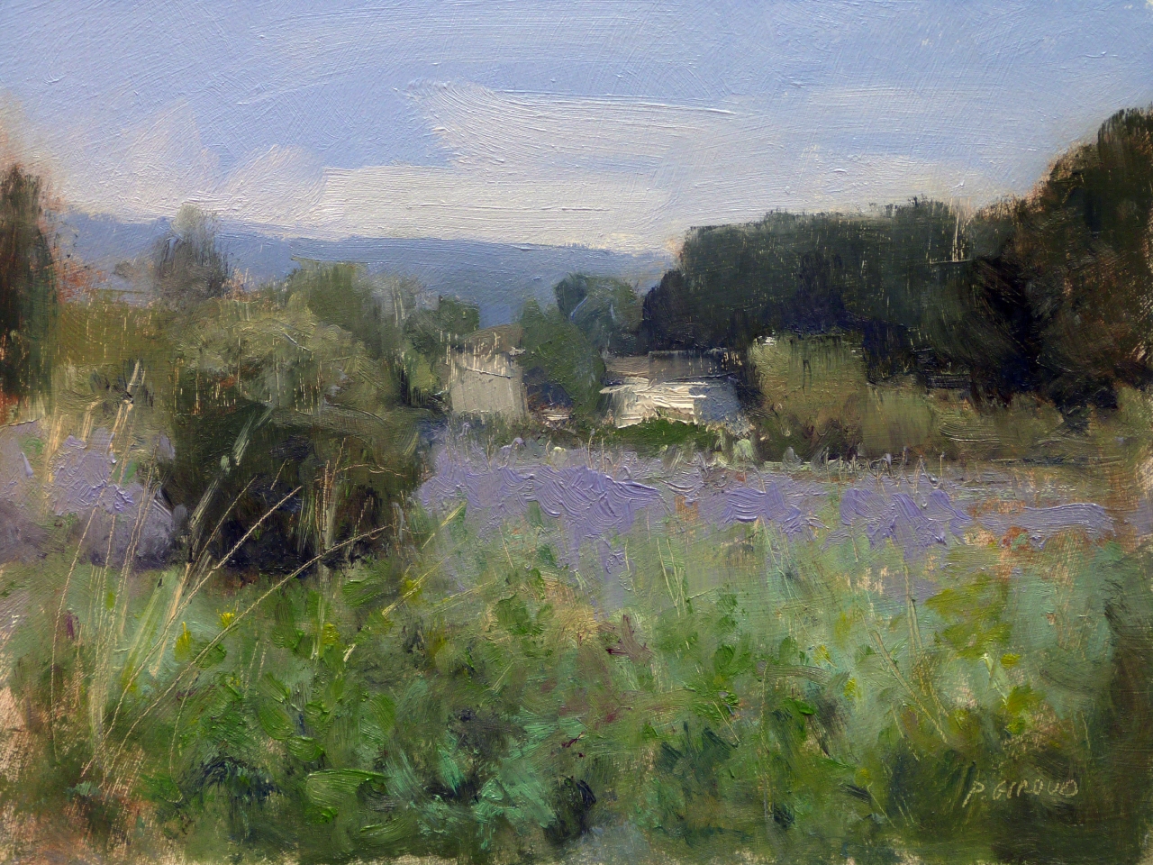 Peinture : Campagne en Drôme Provençale 