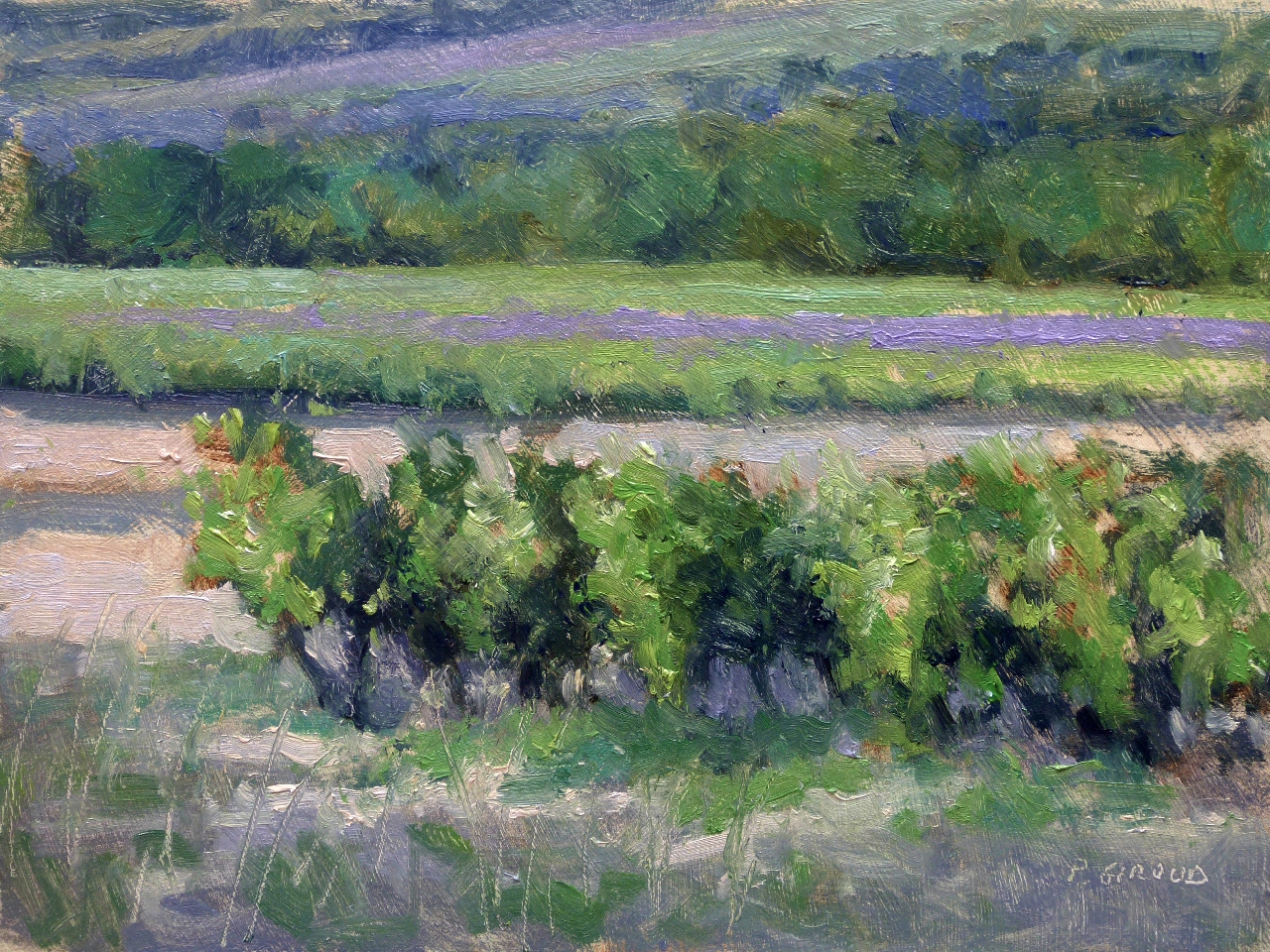 Peinture : Vignes vers Tauligan 