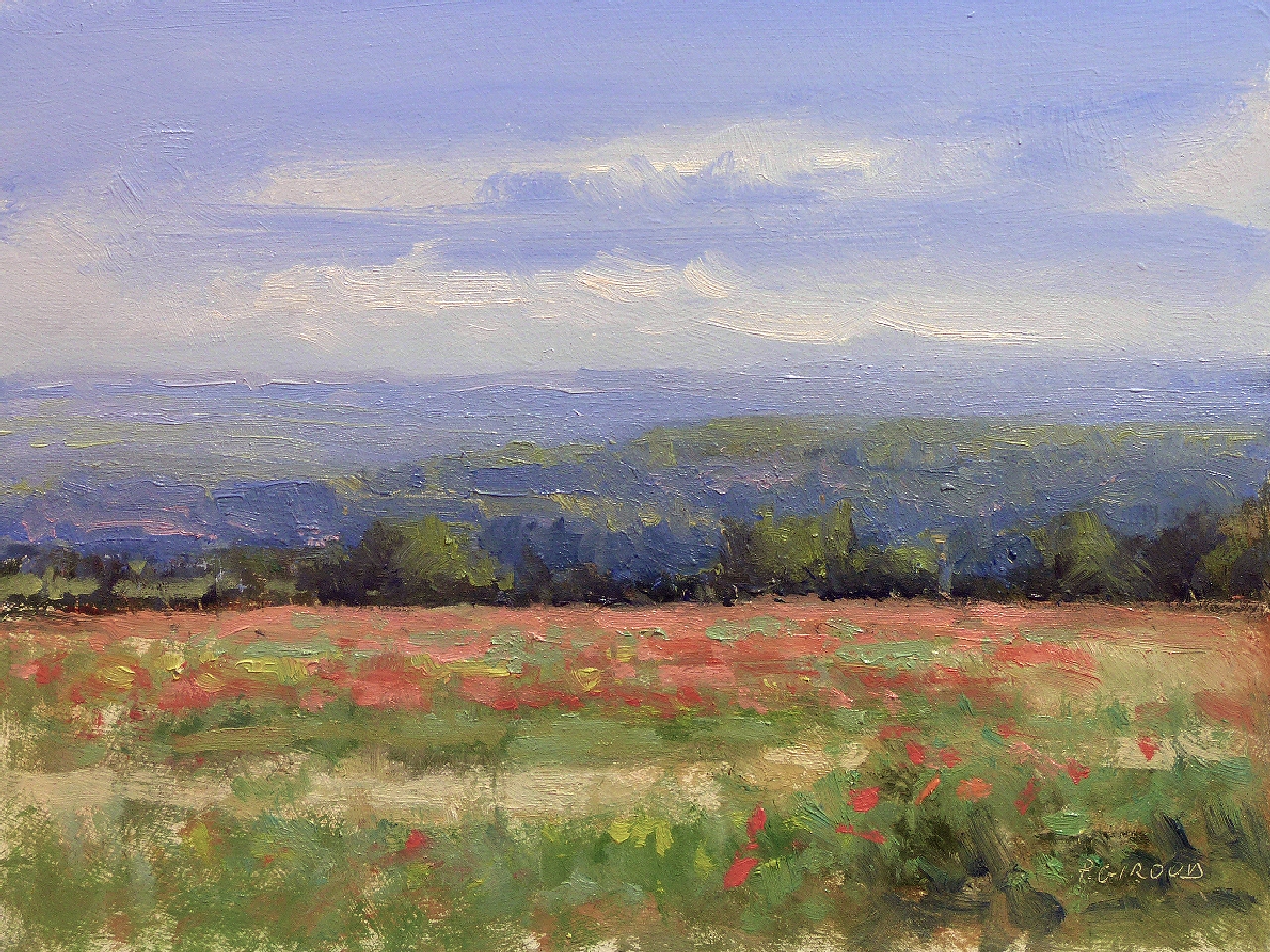 Peinture : Coquelicots vers Apt 