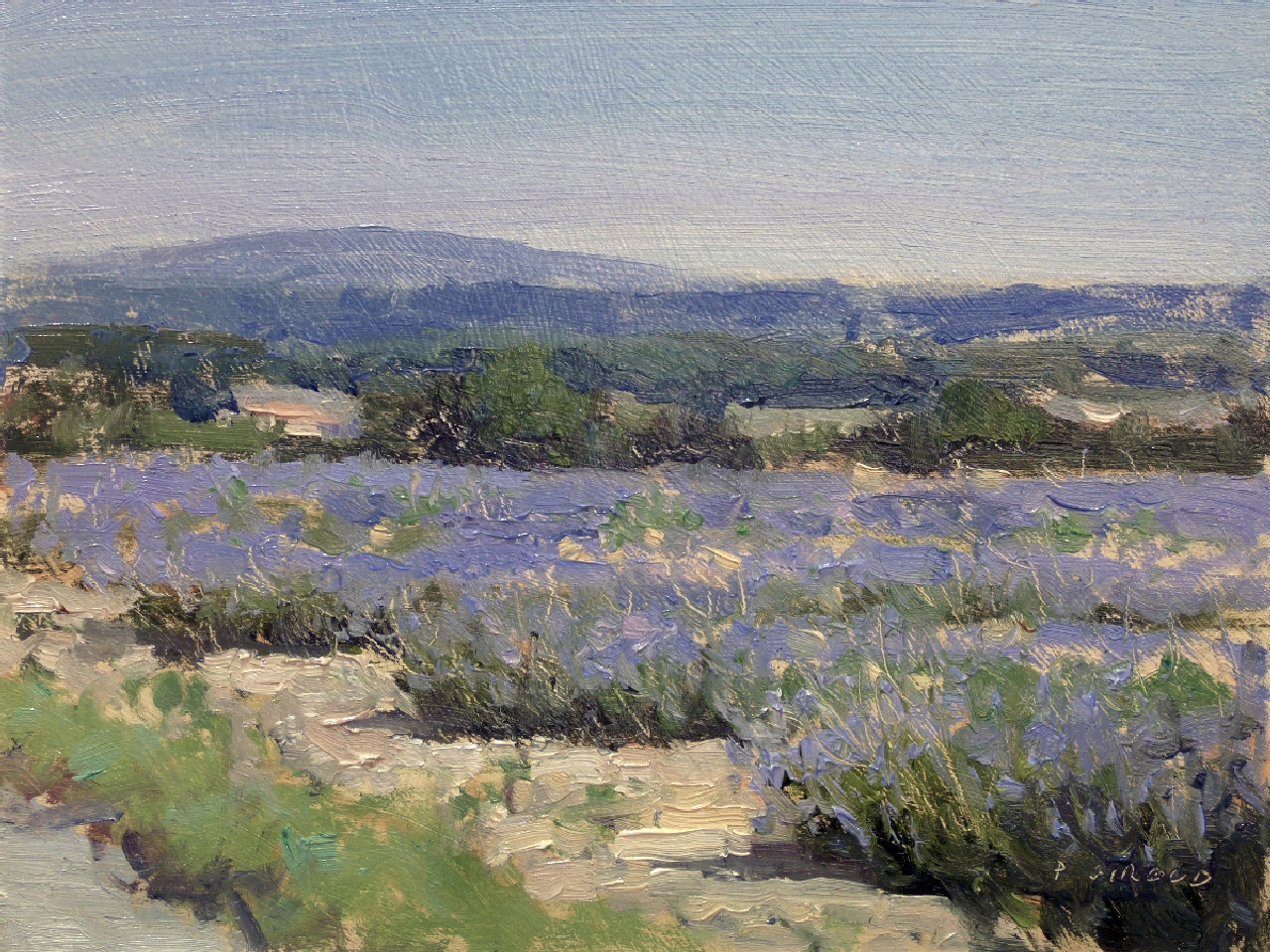 Peinture : Lavandes vers Valréas 