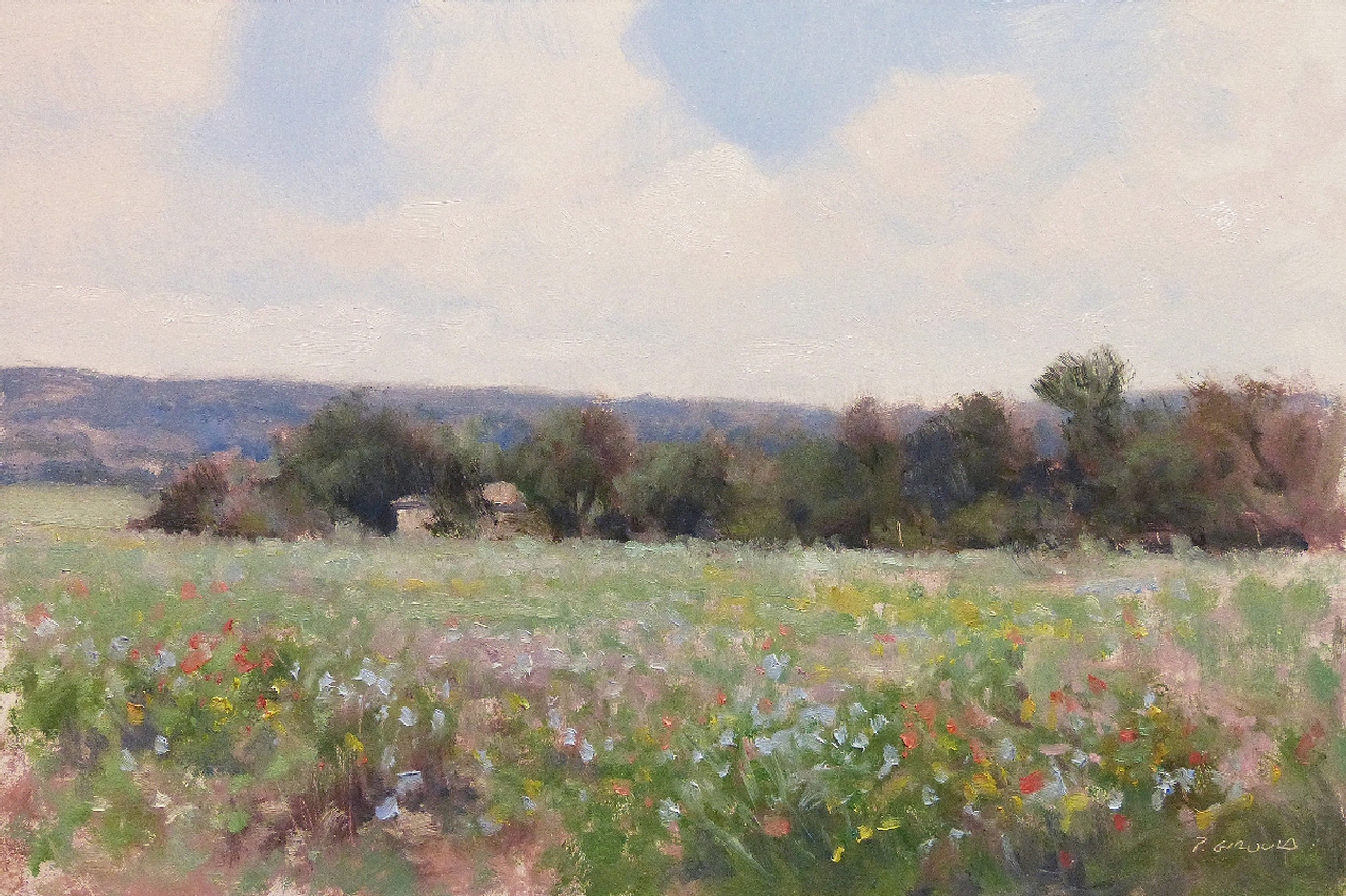 Peinture : Champs vers Forcalquier 