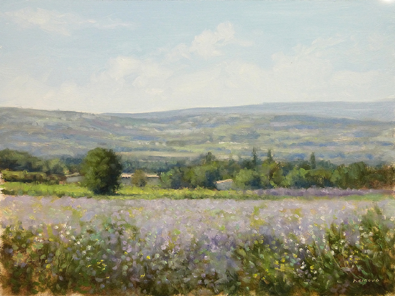 Peinture : Lavandes dans le Vaucluse 