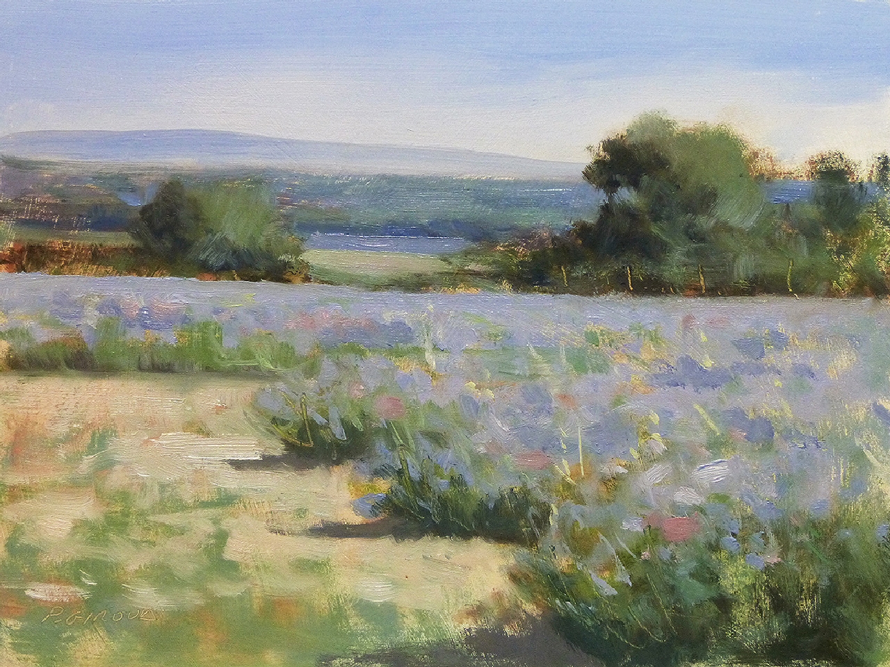 Peinture : Lavandes vers Taulignan 