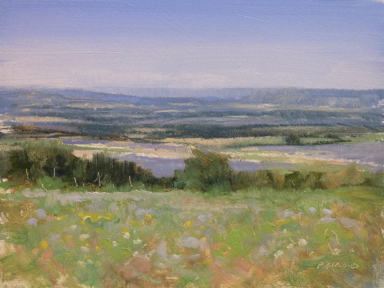 Peinture : Lavandes dans la Drôme 