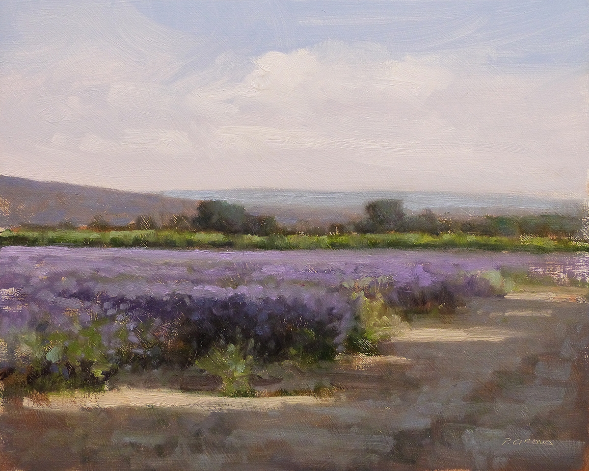 Peinture : Lavandes vers Sault 