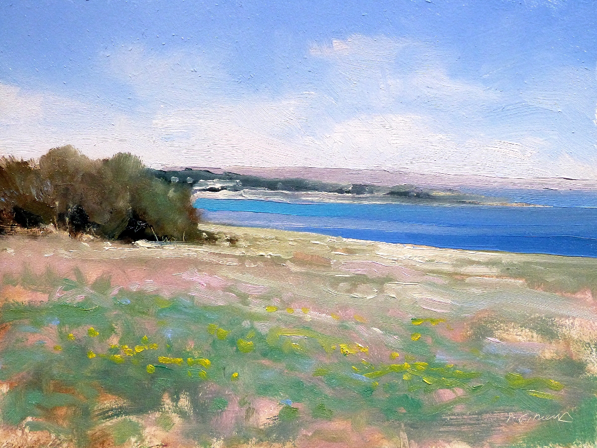 Peinture : Plage de Ste Croix 