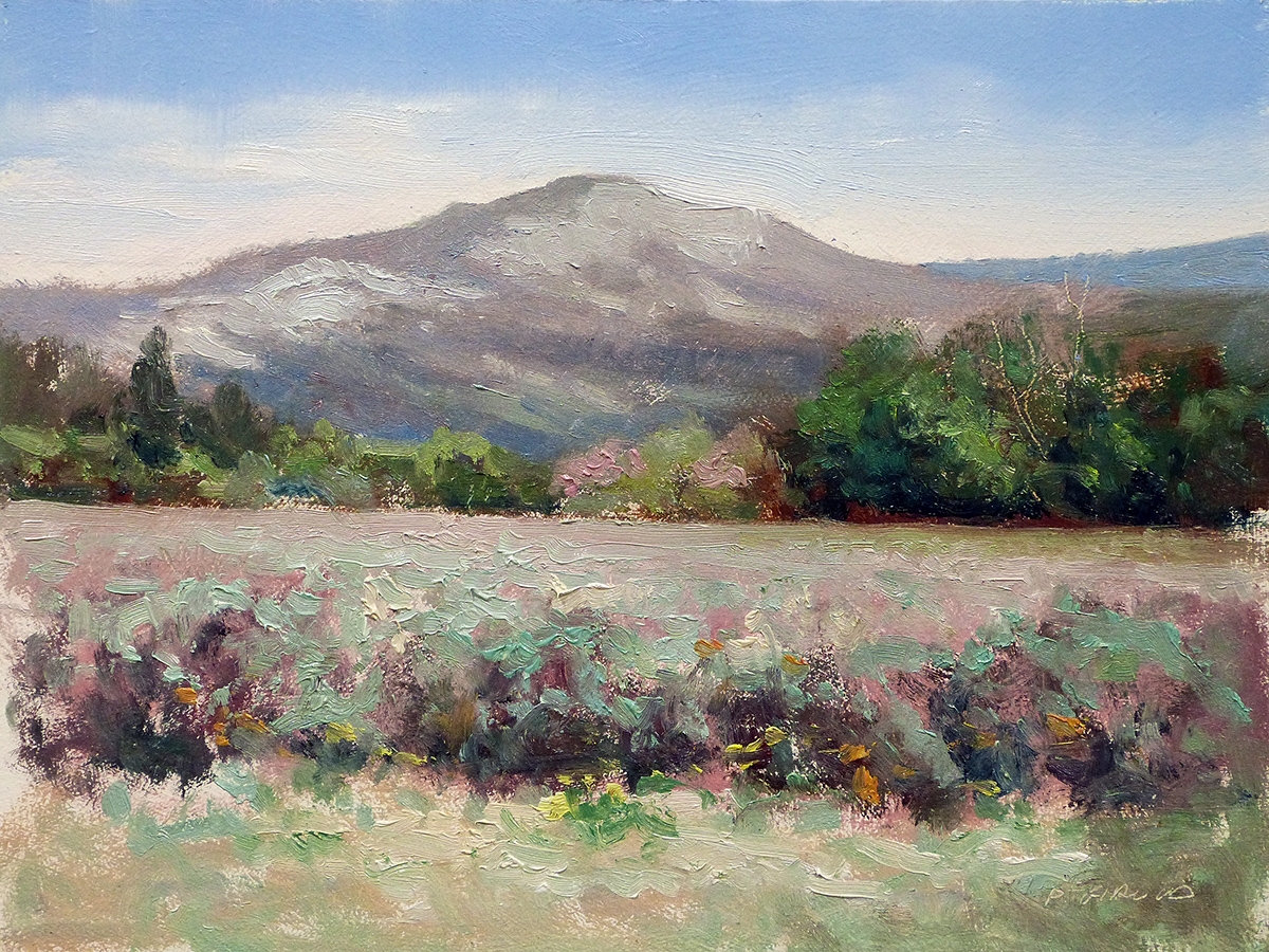 Peinture : Champs de Lavande Sisteron en Mars