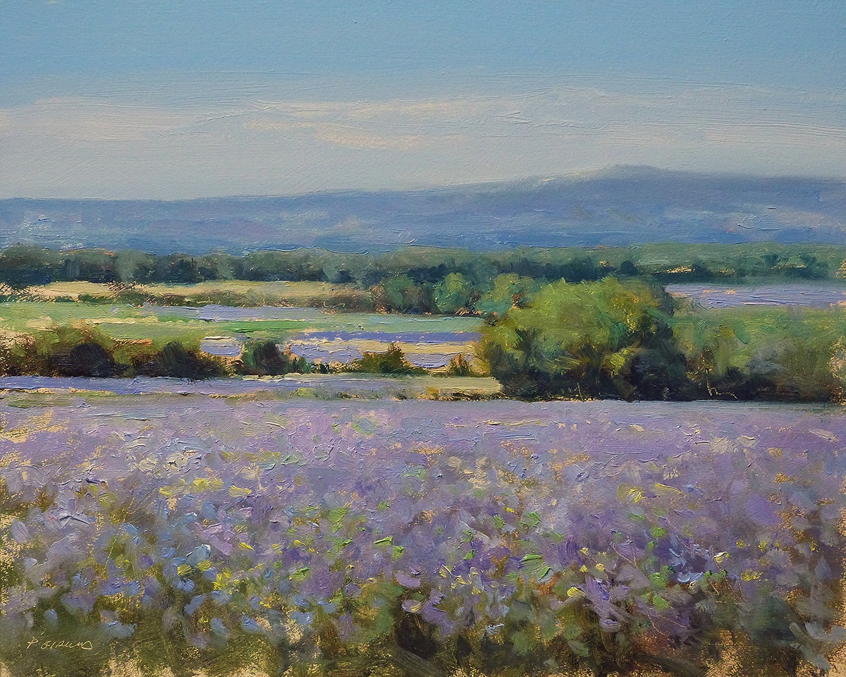 Peinture : Champs de Lavande vers Sault 