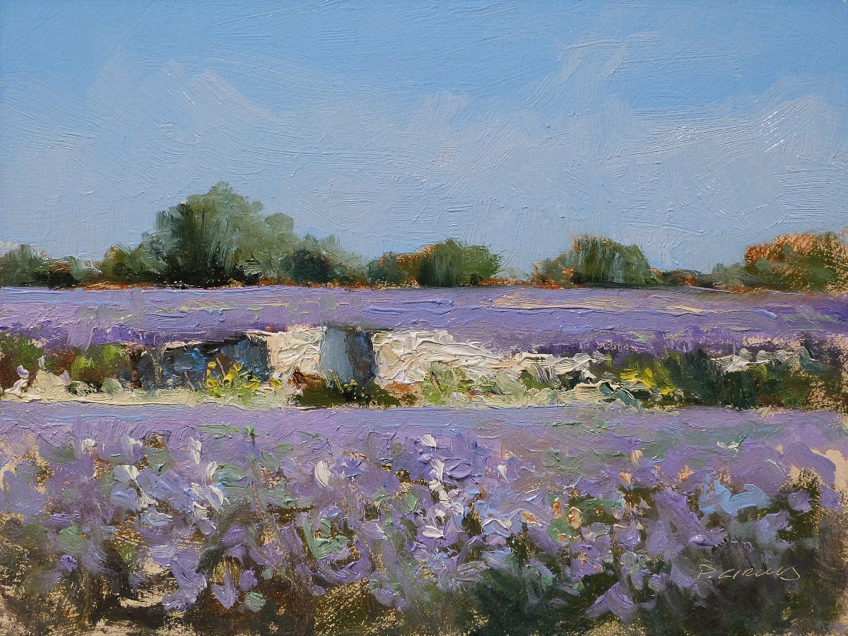 Peinture : Lavandes 