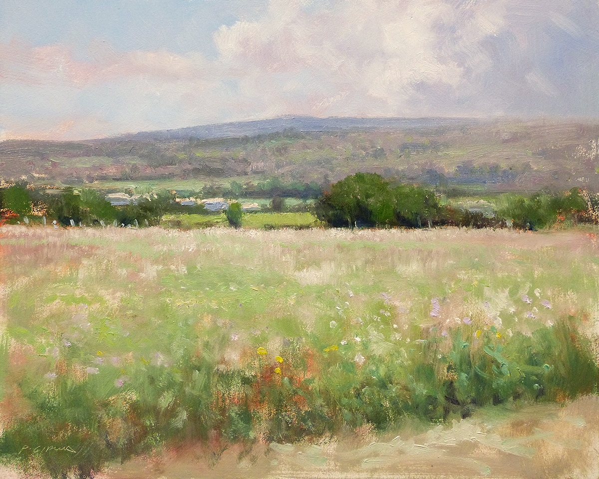 Peinture : Champs dans le Luberon 