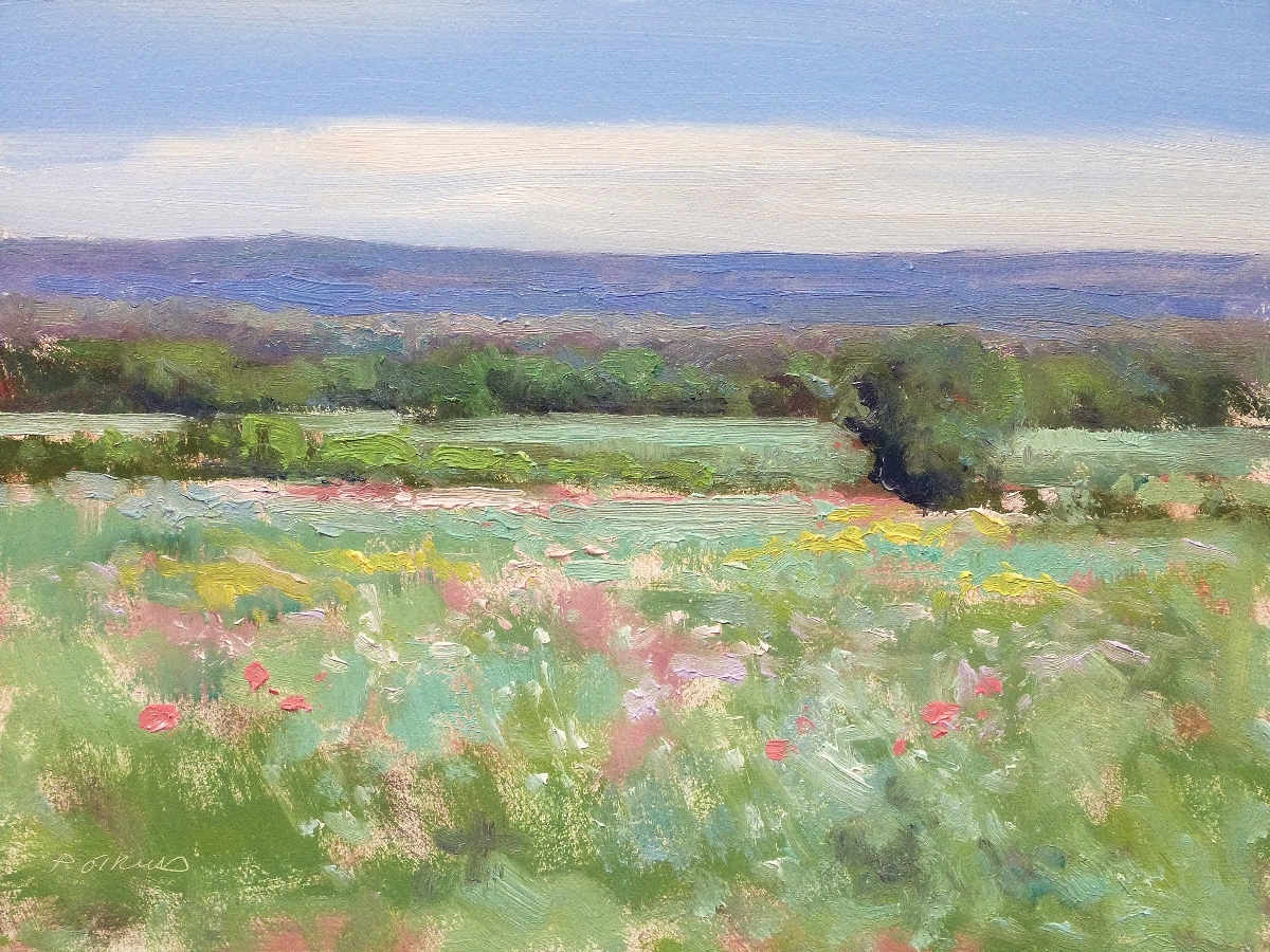 Peinture : Camapgne vers Joucas 