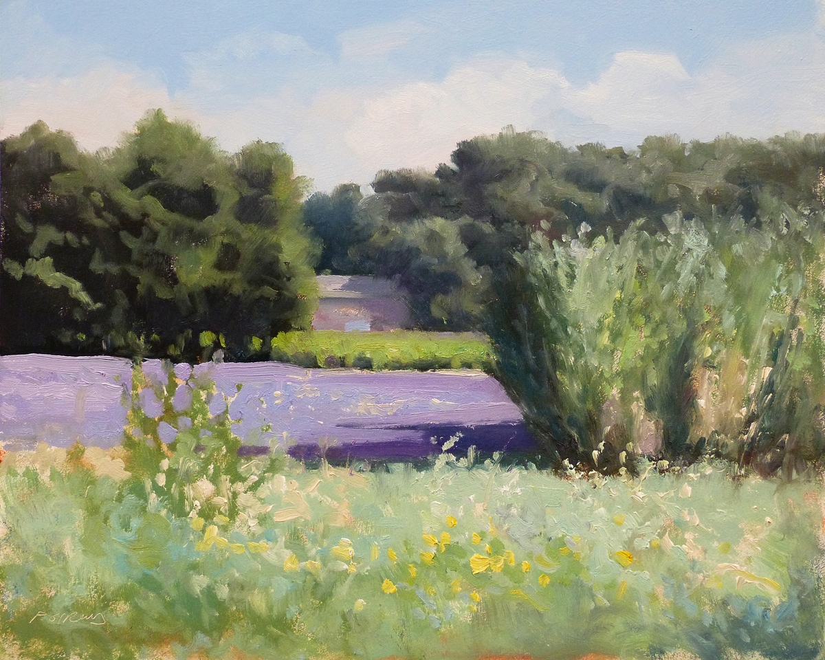 Peinture : Lavandes vers Taulignan 
