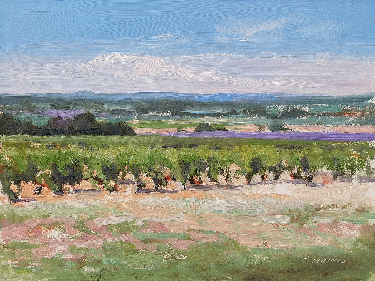 Peinture : Vignes et Lavandes