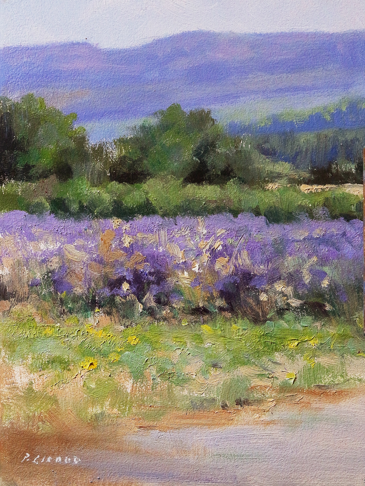 Peinture : Lavandes Haute-Provence 