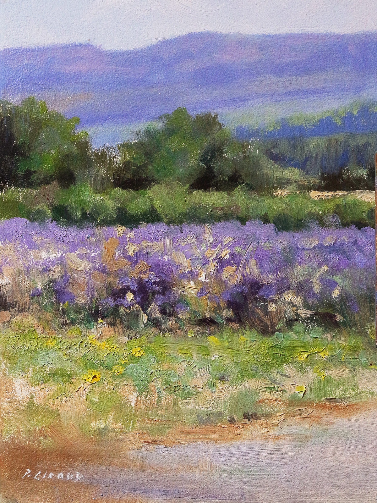 Peinture : Lavandes Haute-Provence