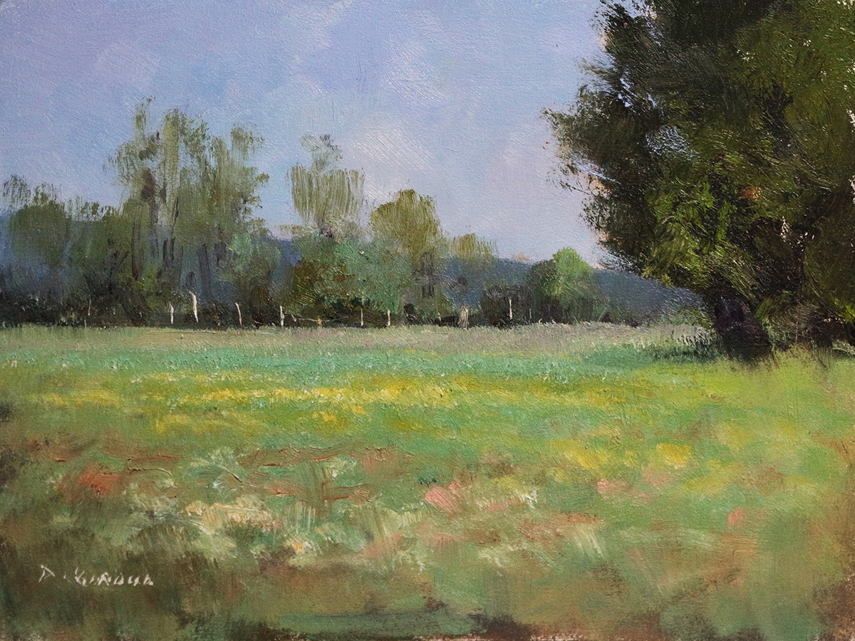 Peinture : Champs en Haute-Provence 