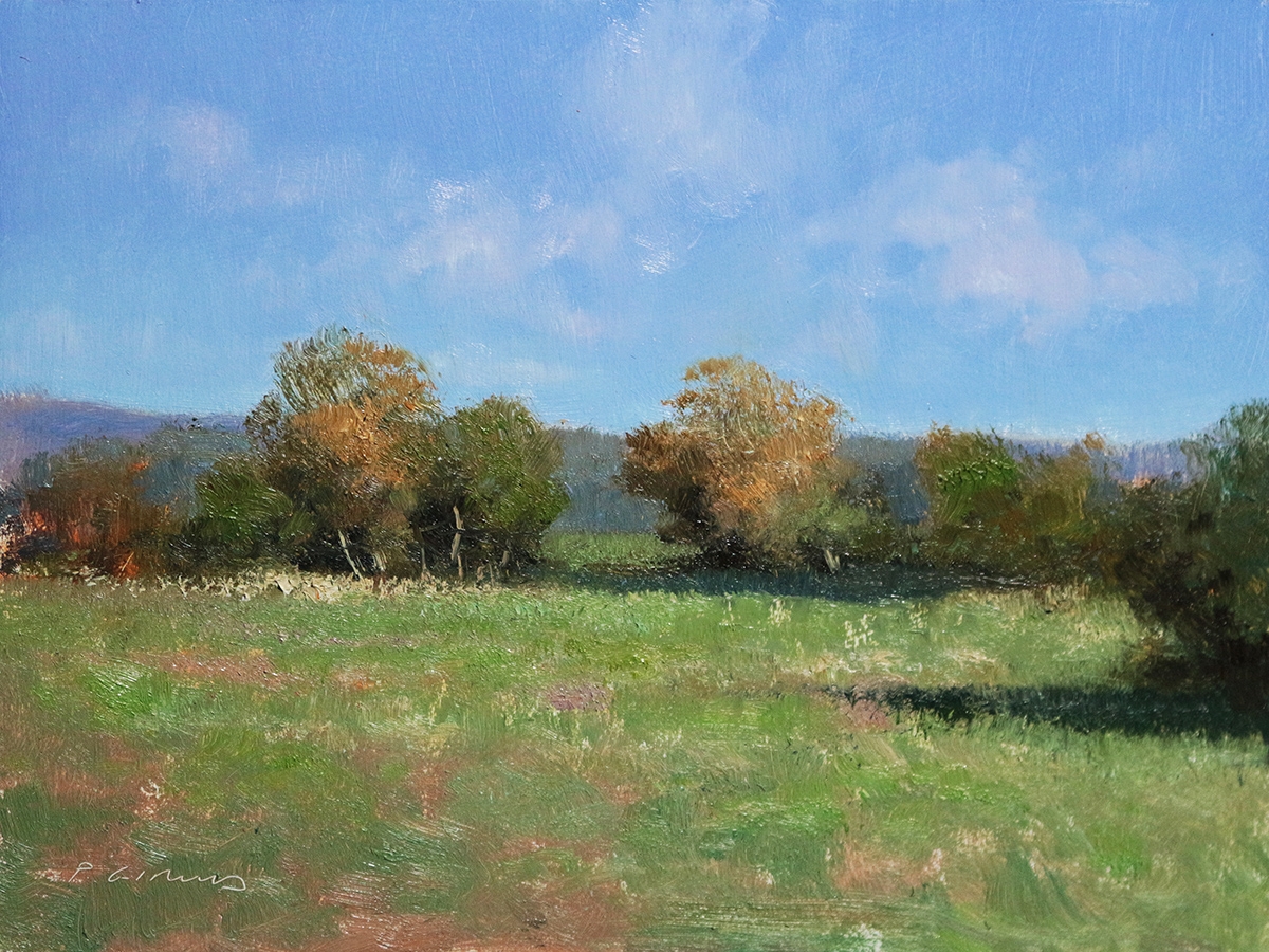 Peinture : Prairie en Provence