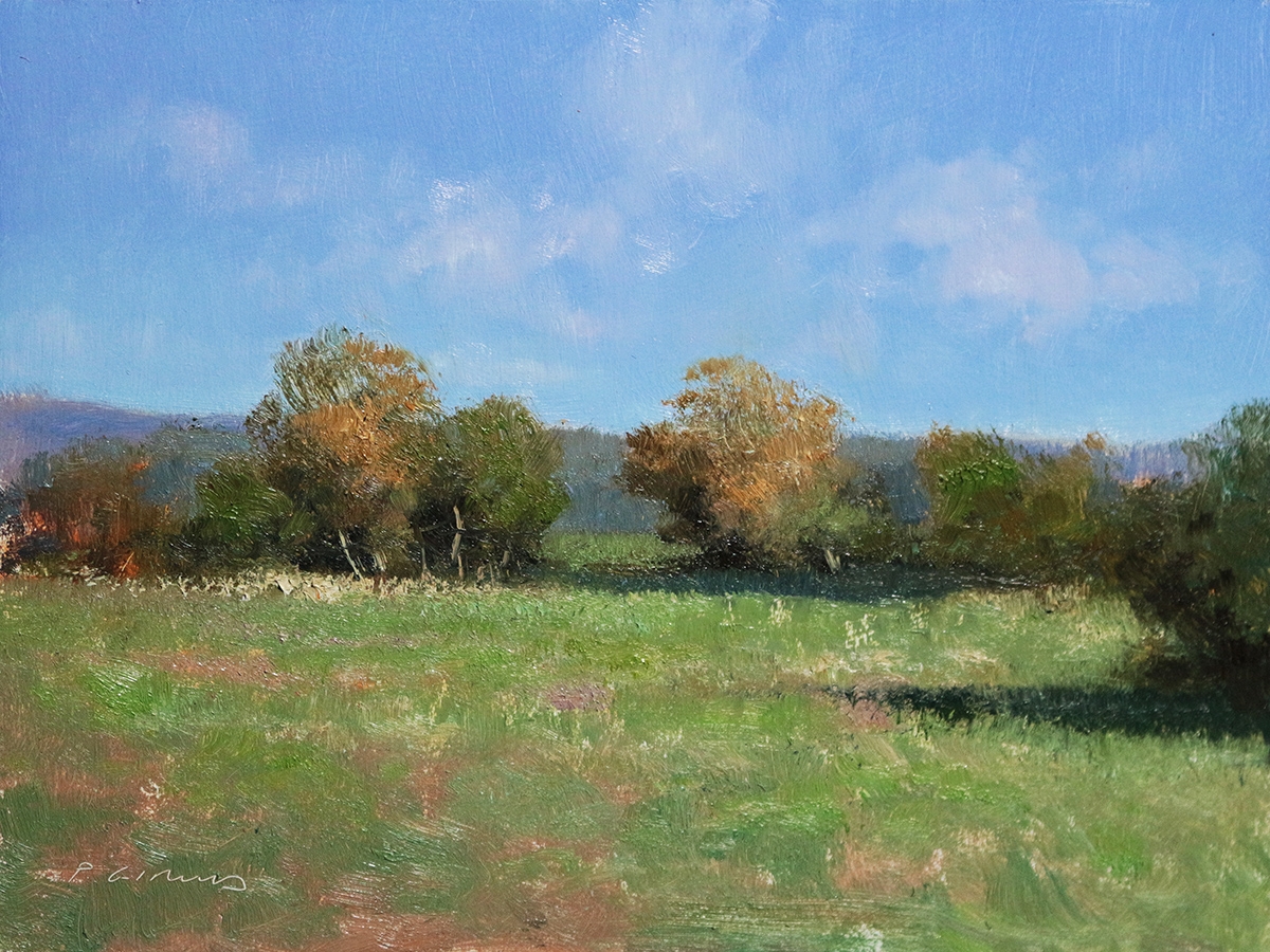 Peinture : Prairie en Provence 