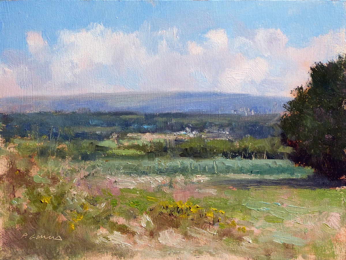 Peinture : Champs Hautes-Provence 