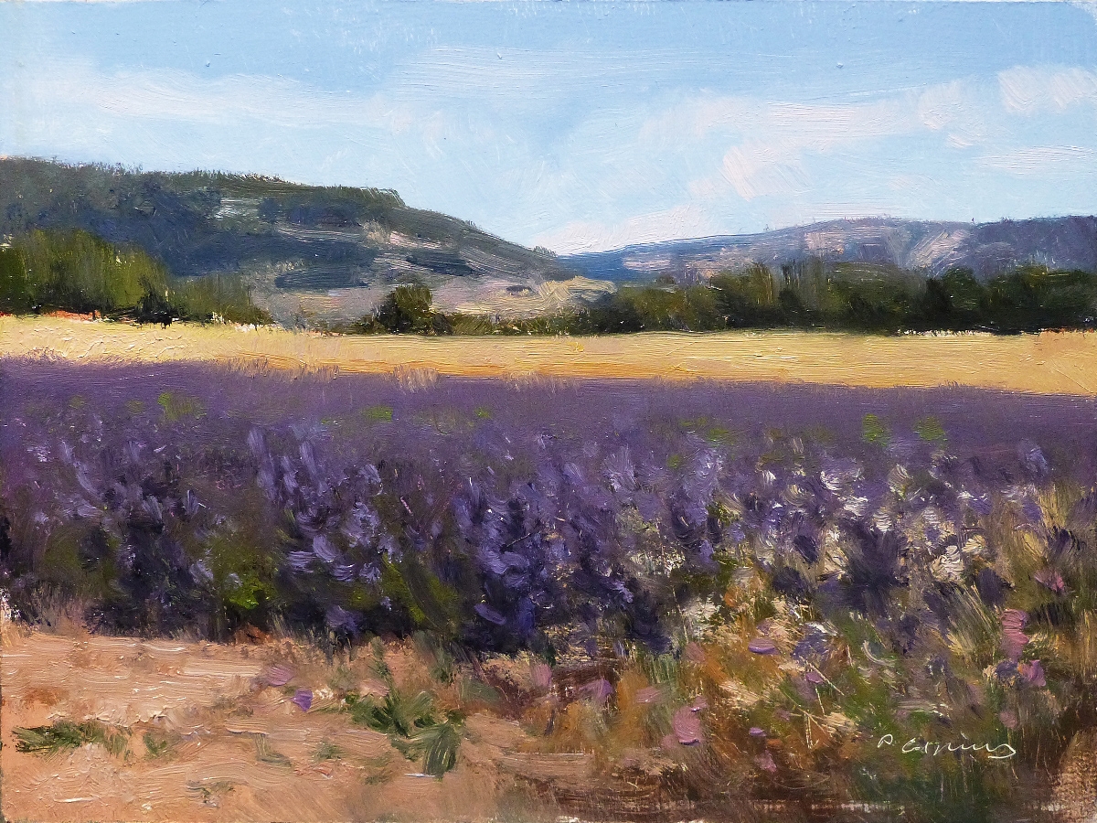 Peinture : Lavandes Champs de Rame 
