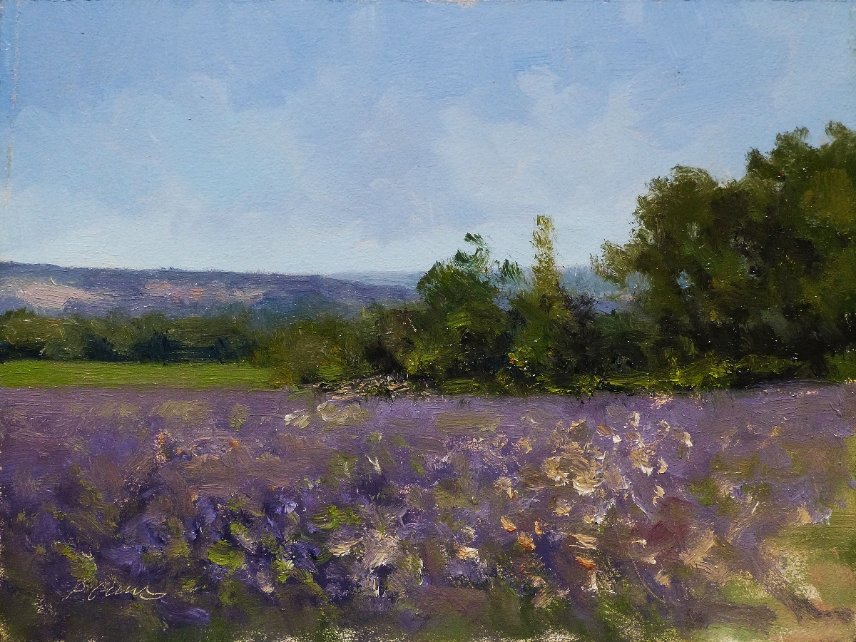 Peinture : Lavande en Haute-Provence 