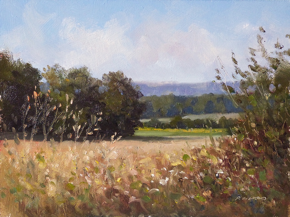 Peinture : Champs des Chevalys 
