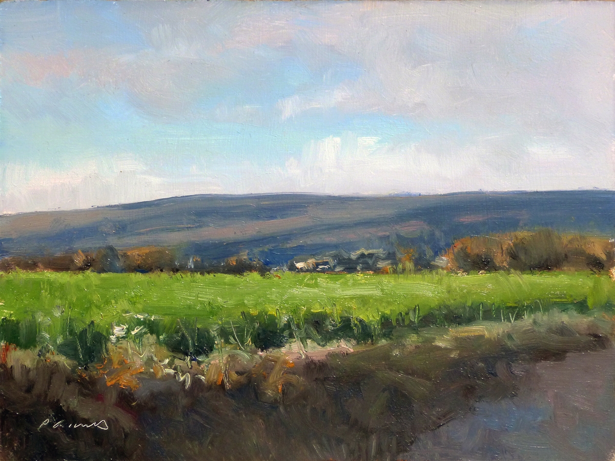 Peinture : Chemin des Comtes 