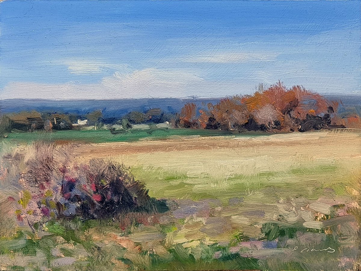 Peinture : Chemin de St Jacques 