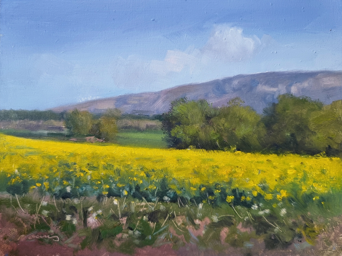 Peinture : Plateau des Roméyères 