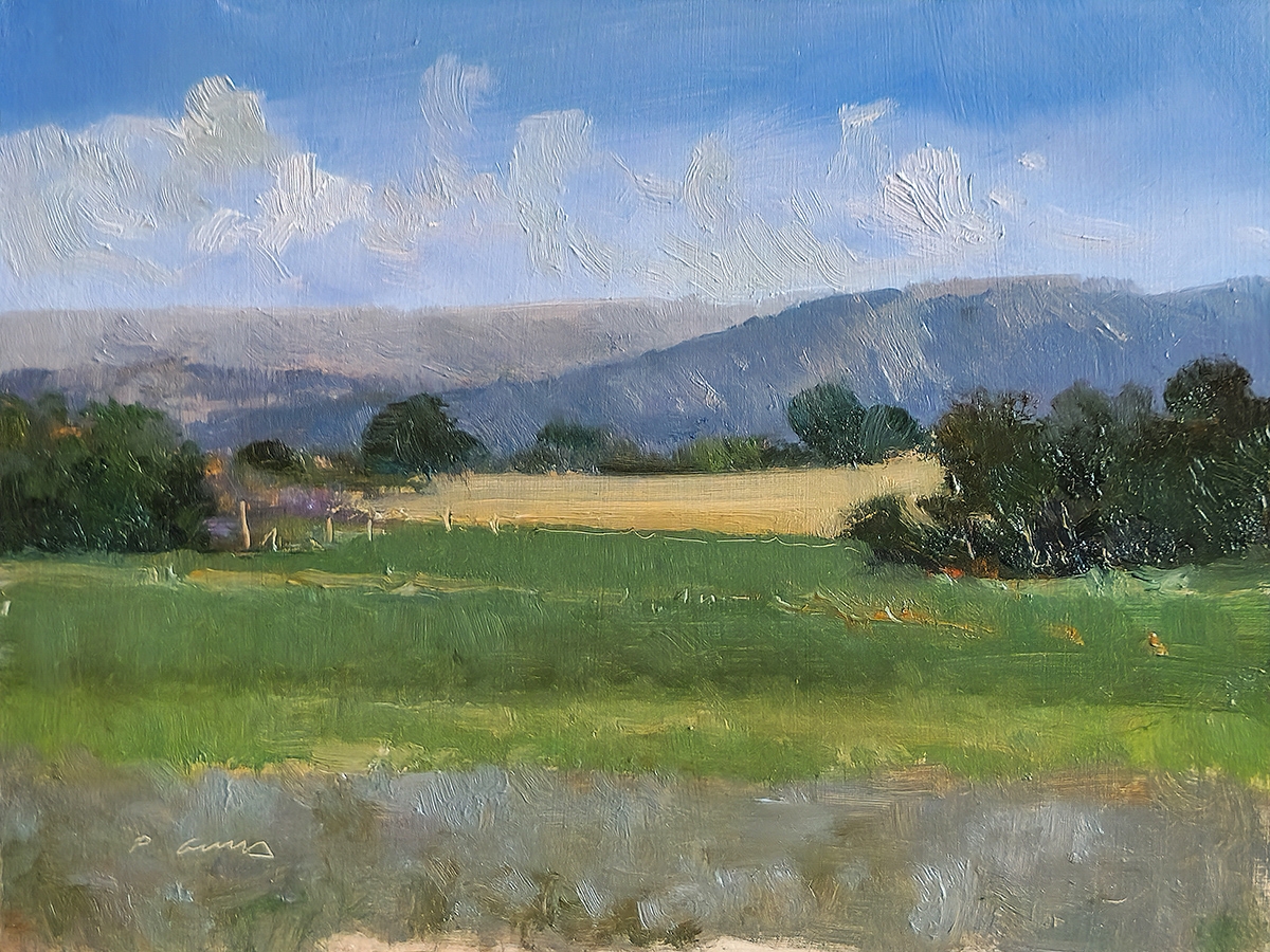 Peinture : Champs des Comtes 