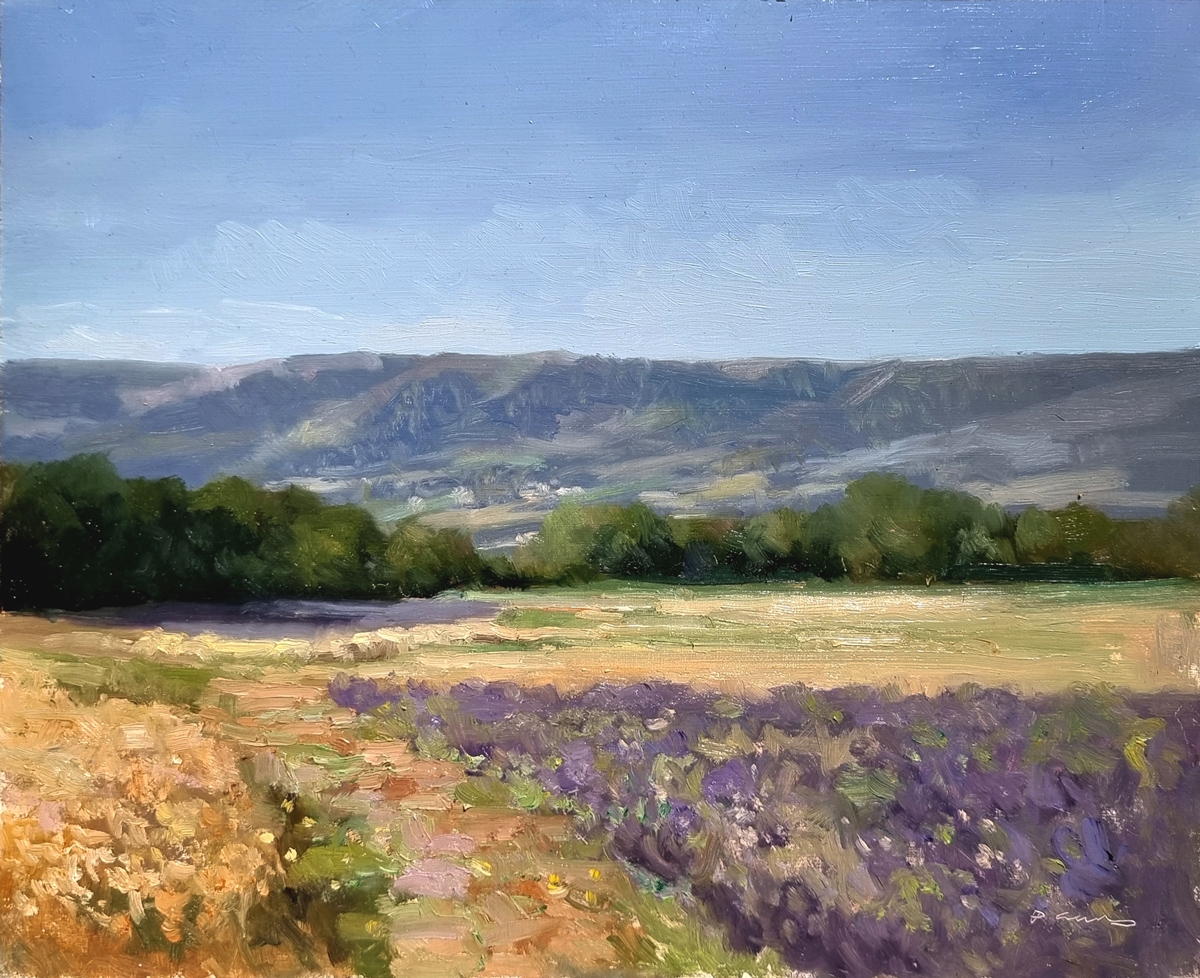 Peinture : Lavandes Chemin du Puy 