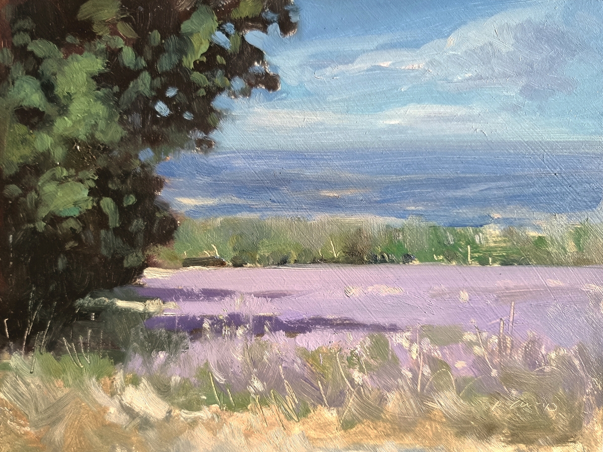 Peinture : Champs des Mazans 