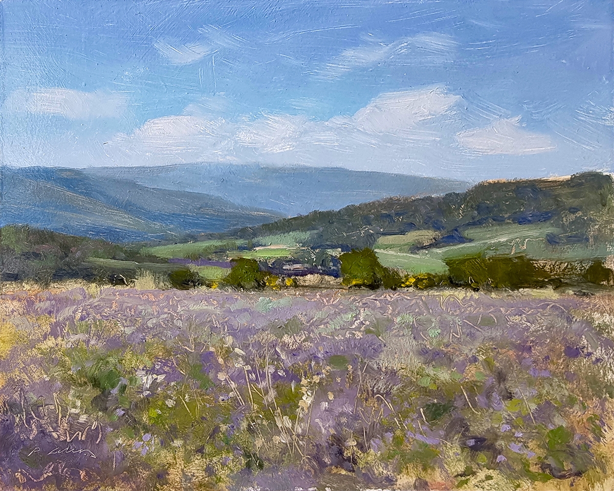 Peinture : Lavande en Drôme Provençale Peinture : Lavande en Drôme Provençale