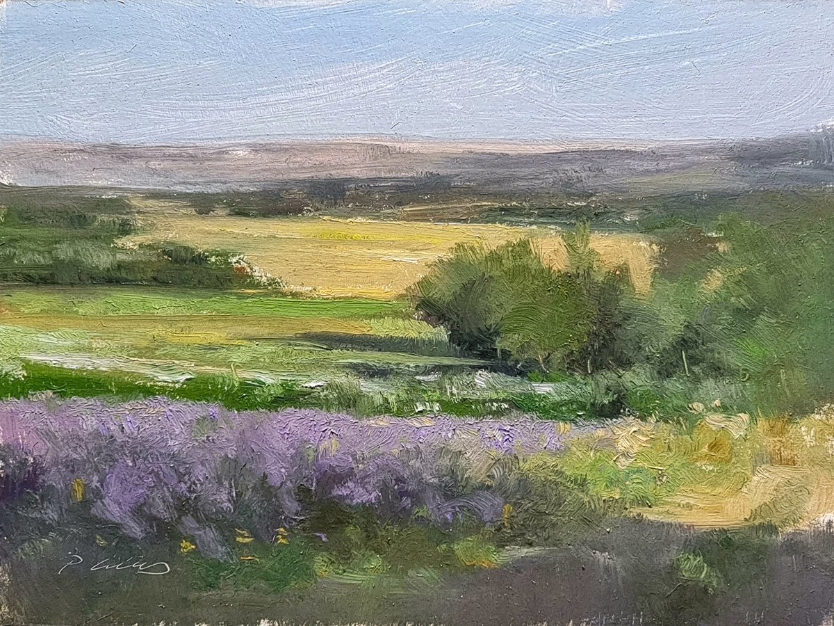 Peinture : Champs des Mazans 