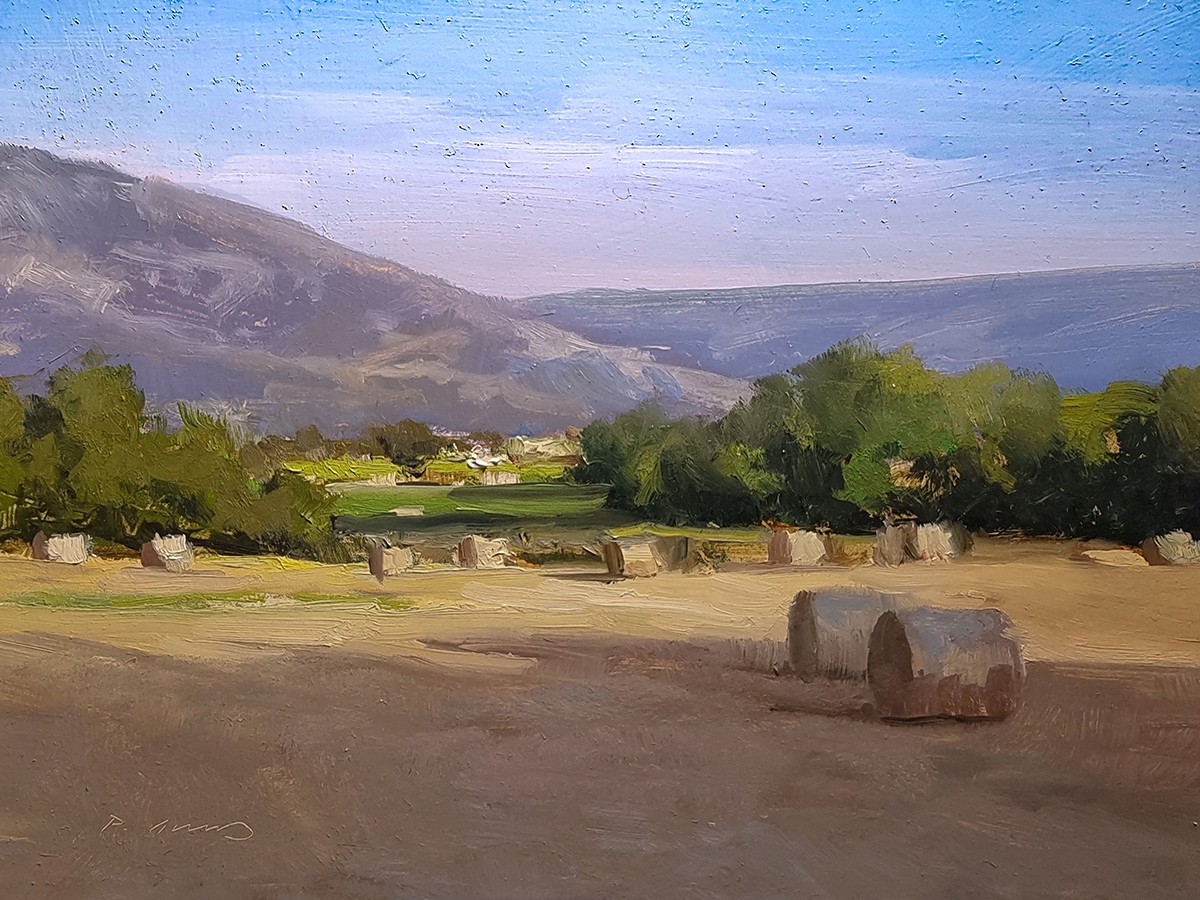 Peinture : Champs de Cadovi 