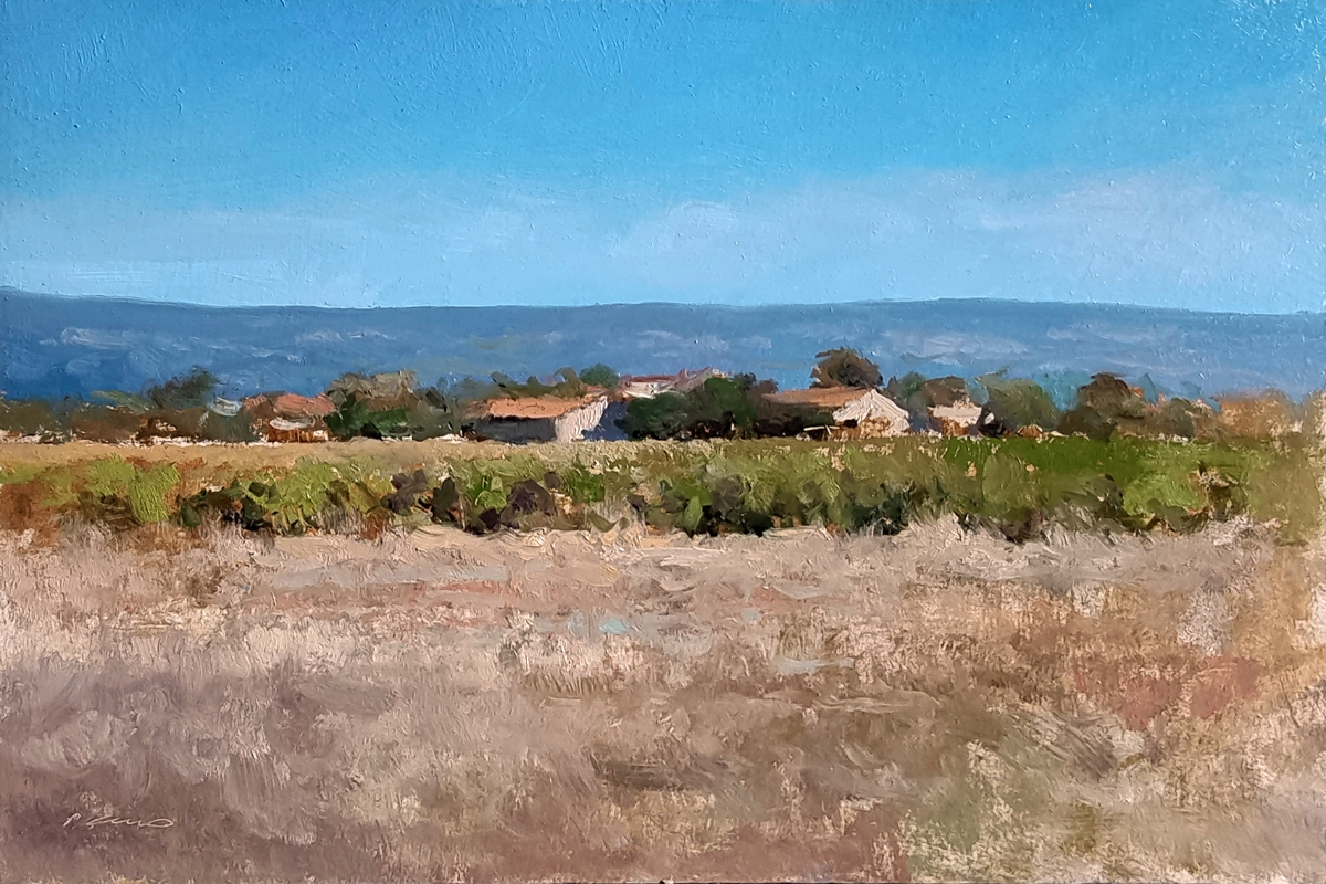 Peinture : Vignes dans le Luberon 