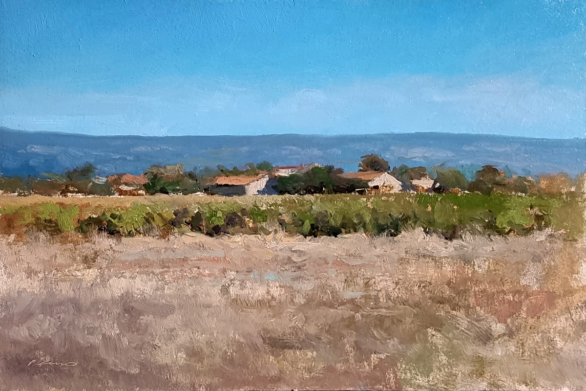 Peinture : Vignes dans le Luberon