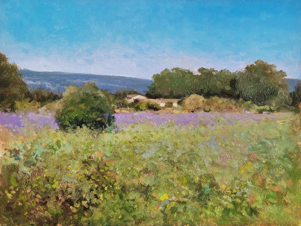 Peinture : Lavandes vers Taulignan 