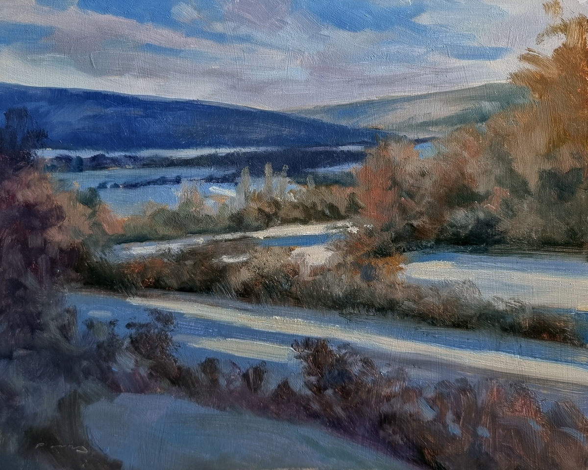 Peinture : Champs des Dames Peinture : Champs des Dames
