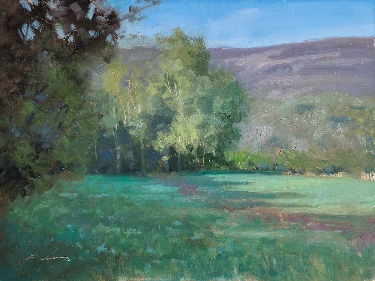 Peinture : Champs des Bollènes 