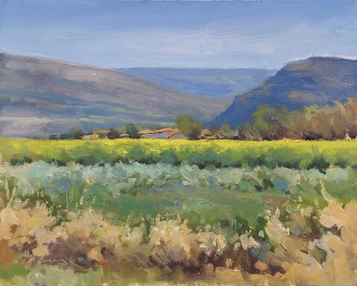 Peinture : Champs de Colza 