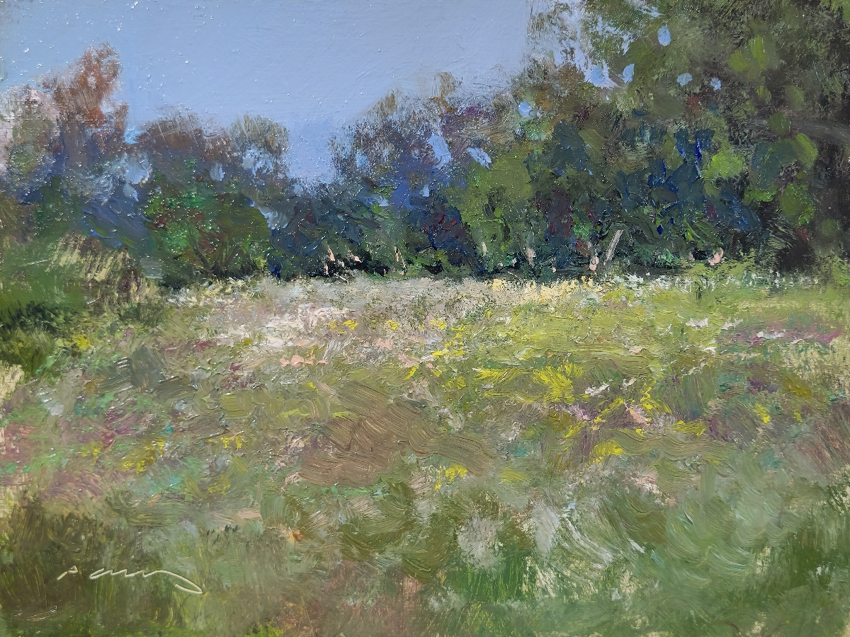 Peinture : Champs de St-Jean 