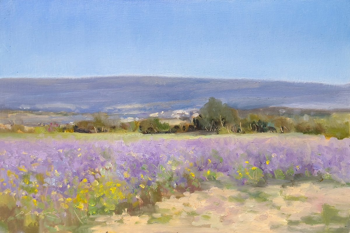 Peinture : Lavande vers Mison 