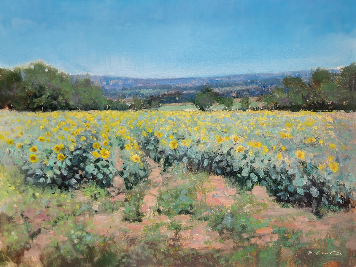 Peinture : Champs de Tournesol Peinture : Champs de Tournesol
